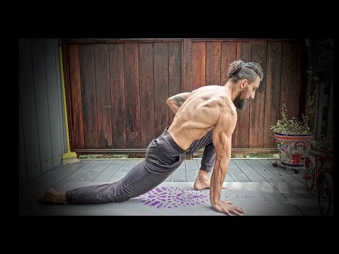 Stretching Routine for Beginners (Follow Along)