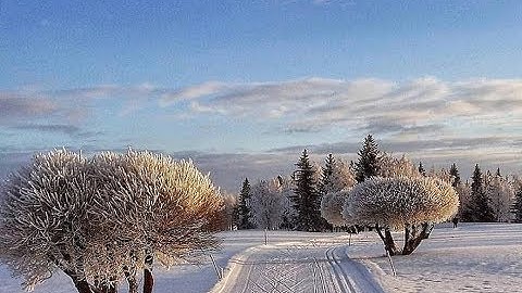 الشيخ عمر القزابري \  تلاوه خاشعه من سورة الملك برواية ورش عن نافع