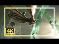 Mothra 2024 Scene Pack | Godzilla X Kong The New Empire 4K Clips