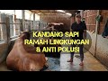 Contoh Kandang Sapi Moderen Yg Ramah lingkungan Dan Anti Polusi