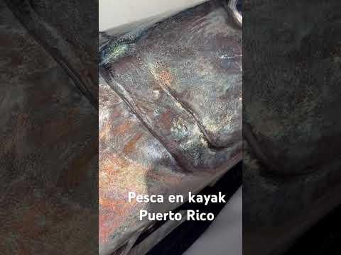 Pesca de sierra en kayak Puerto Rico