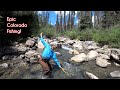 The top 10 fishing spots in colorado  mcfly angler fly fishing