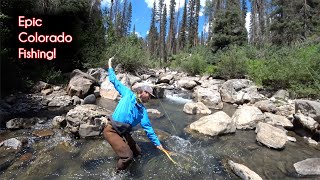 The TOP 10 fishing spots in Colorado  McFly Angler Fly Fishing