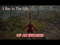 A day in the life of an Invader
