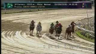 Carr.3 Premio: GREAT DANCE (2014) 01-09-2019