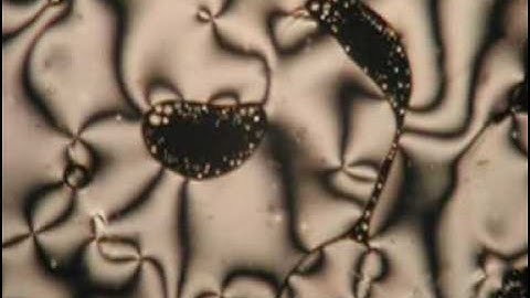 Phase transformation from an isotropic liquid to a nematic liquid crystal: Part 2