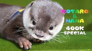 400K SUB SPECIAL! Otter Kotaro Precious Moments of Babyhood
