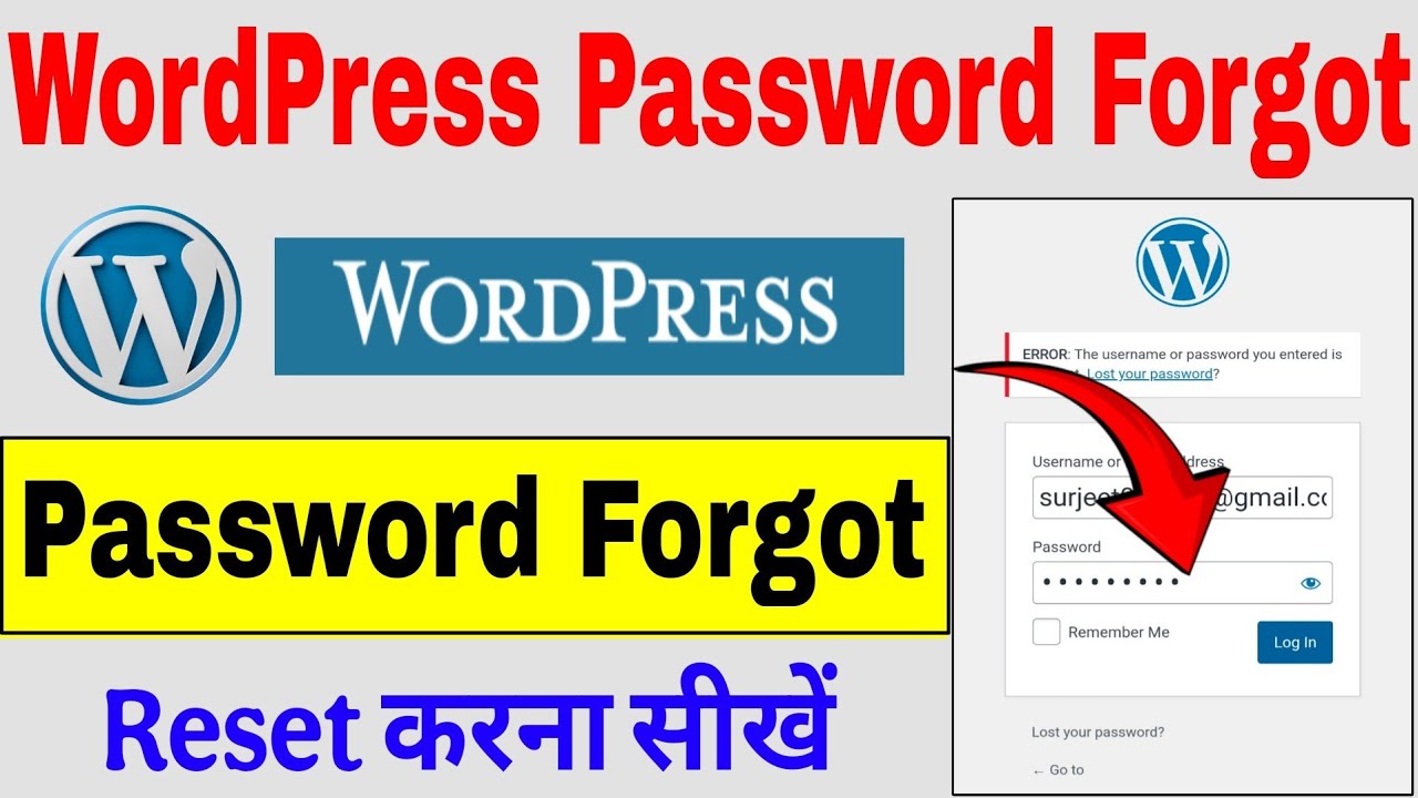 WordPress Password Forgot | Wordpress Password Reset Kaise Kare | Password Reset Email Not Sending