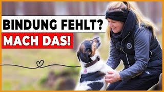 ➡️ Hundebesitzer aufgepasst: 5 Tipps für Bindungsaufbau auf dem Spaziergang 🐕 by DOGsTV - Online Hundetraining 21,751 views 3 months ago 18 minutes