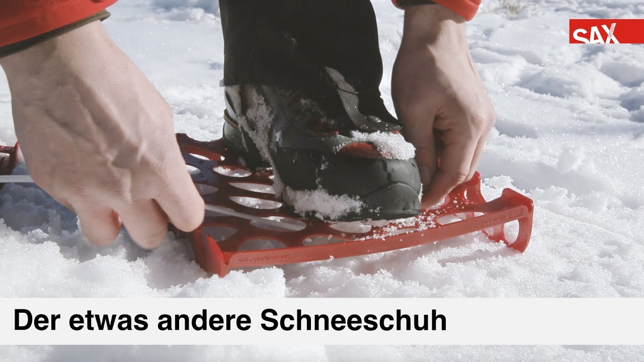 Von der Natur inspiriert – sax design Voronoi