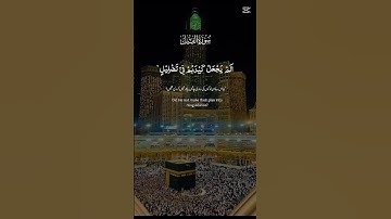 القران الكريم سورة الفيل #القرآن_الكريم #اكسبلور #explore #foryou