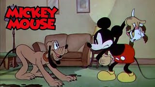 Mickey Mouse - O Dia do Julgamento de Pluto