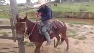 Peões  Bom no Muar deixa seu like 😎😎👍👍