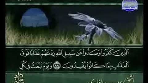 سورة النحل من الآية 88 الى الآية 102