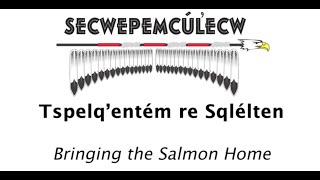 Bringing the Salmon Home to Secwépemculucw