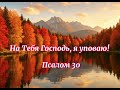 На Тебя Господь, я уповаю !!! Псалом30 . Христианские песни#christianmusic#gospel #христианскиепесни