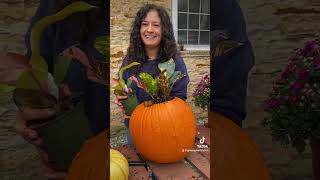 How to Make a Pumpkin Planter 2 Ways