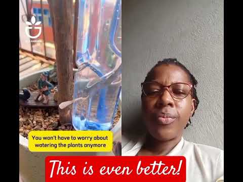 This Method Ensures That Your Plant Won T Be Over Watered Plantmom Gardening Duet