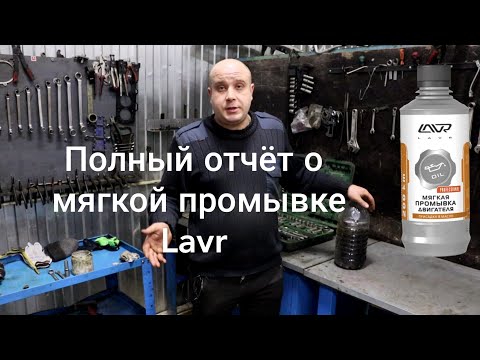 Мягкая промывка двигателя Lavr отчёт спустя 8 тысяч километров пробега.