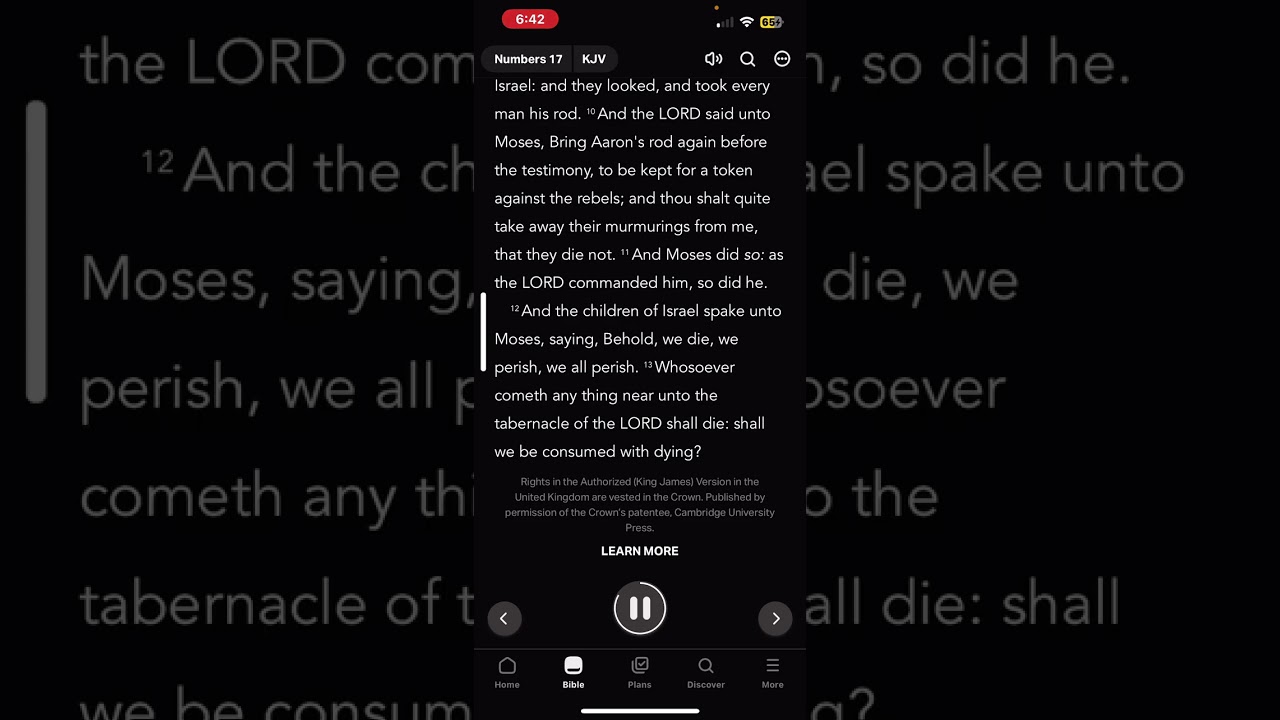 Weekly messianic Torah portion: Date: 6/28/25 - 2 TAMMUZ Parashat Korach