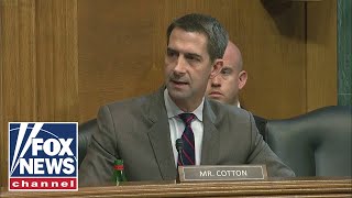 Sen. Cotton presses Biden's ATF nominee on 'defining' assault weapon