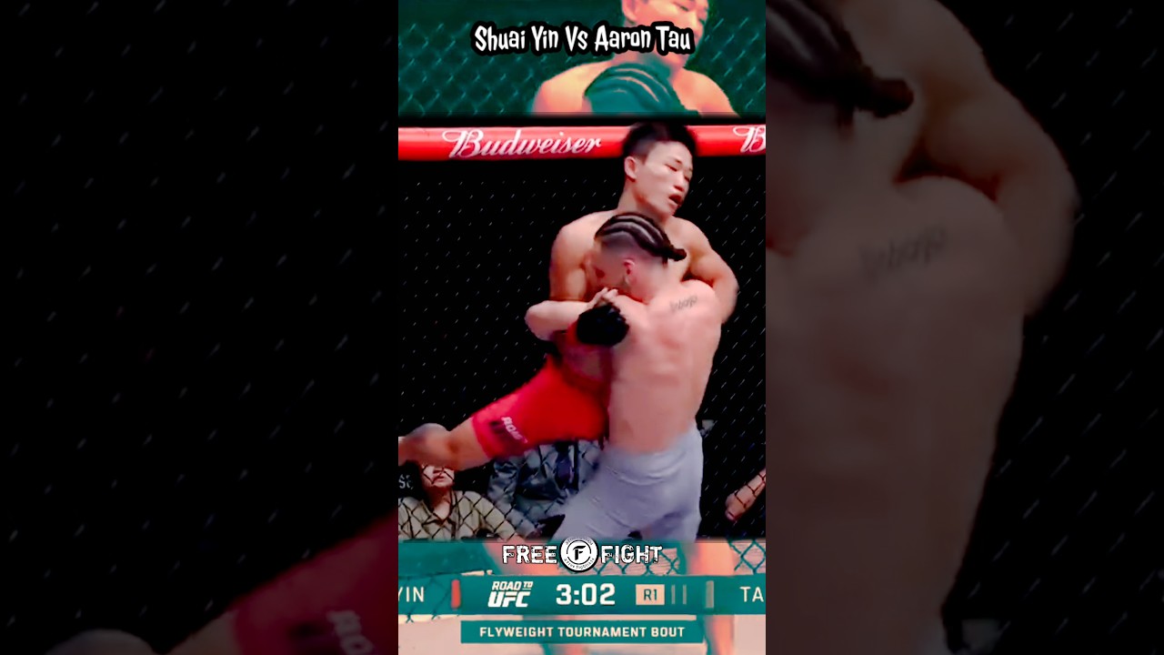 Shuai Yin Vs Aaron Tau 