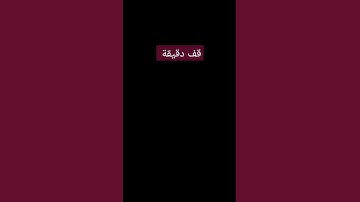 سورة الرعد  بصوت اسلام صبحي