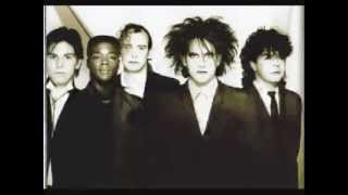 Birdmad Girl Cure Cover Song - Mr. Moody Hyadd
