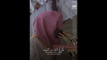 ﴿فَسُبحانَ اللَّهِ حينَ تُمسونَ وَحينَ تُصبِحونَ﴾ من سورة الروم .. الشيخ عبدالله القرافي 🤍..