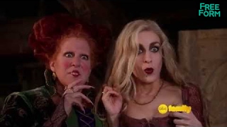 Hocus Pocus Freeform