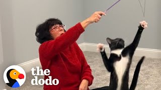 Mom Recruits Her Kids' Help To Tame Her Wild Rescue Kitten | The Dodo by The Dodo 295,014 views 12 days ago 3 minutes, 21 seconds