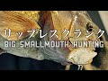 アライグマおじさんのルアービルダー日記(2024/11/22) リップレスクランクでビッグスモールマウスハンティング