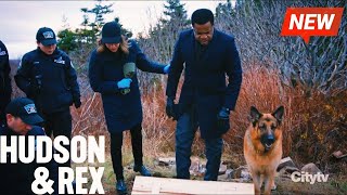Hudson and Rex 2024 🔥🔥 Doghouse 🔥🔥 Full Episode Series 2024 New