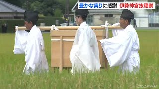 その年初めての実りに感謝する神事 三重の伊勢神宮で秋の訪れを告げる「抜穂祭」(2022/9/1)