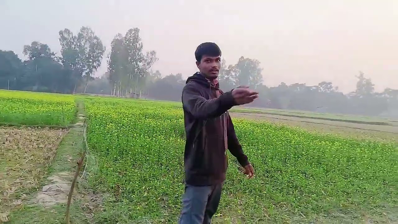 গ্রামের প্রকৃতি নিয়ে কিছু কথা এবং কিছু দৃশ্য ,😔😔