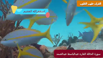 عبد الباسط عبد الصمد | تلاوة تريح النفوس المتعبة لسورة الحاقة كاملة جودة عالية HDلاتنسى زكرالله