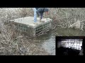 Removing Leaves From Pond Drain (With Inside View)