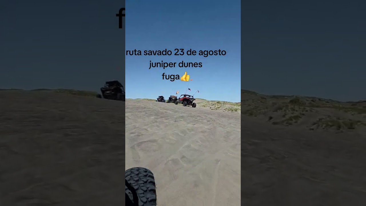 juniper sand dunes washington