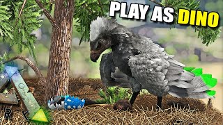 THE ARGY CAN MAKE TREE NESTS | PLAY AS DINO | ARK SURVIVAL EVOLVED