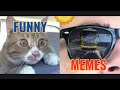 Memes that made me laugh  volume 1