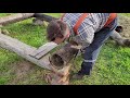 Грядки Высокие и Тёплые / Raised Bed Planter Box. Реконструктор