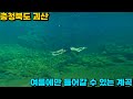 [수심 2.5m] 역대급 수질에 아름다운 배경 스노쿨링하기 좋은 충북 괴산 쌍곡계곡