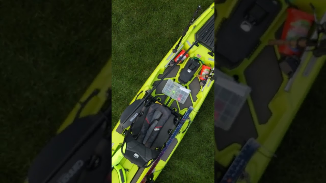 Our Bonafide SS127 In It's Glory & Splendor 