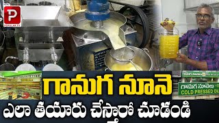 Traditional Organic Ganuga Oil Making | Ganuga Oil Business | Hyderabad | Popular TV