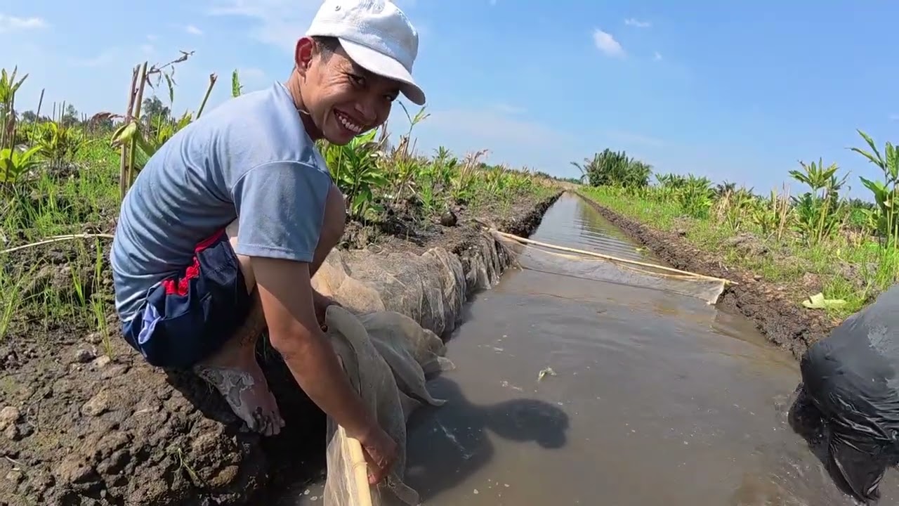 Đi kéo cá trong đám riềng được nhiều cá 🐟🐟🐠🐠