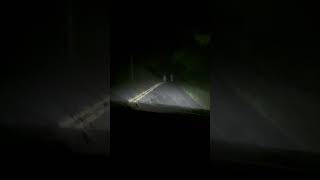 The GHOSTS of NORTHPORT, ALABAMA! Scary &amp; Spooky but Fun!!!