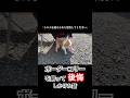 ボーダーコリーを飼って後悔しかけた話