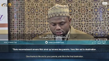Sourate Luqman (12-19) - Okasha Kameny سورة لقمان عكاشة كميني