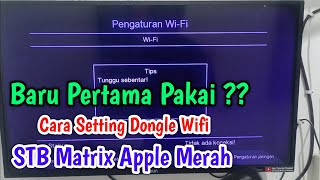 First Time Using It! How to Set Up the Red Apple Matrix WiFi Dongle