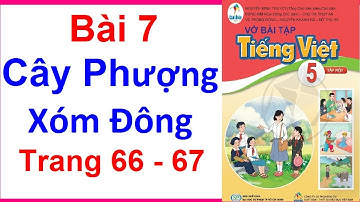Vở Bài Tập Tiếng Việt Lớp 5 Sách Cánh Diều Bài 7 | Cây Phượng Xóm Đông | Trang 66 - 67 | Tập 1